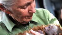 Jane Goodall bildet viser Jane Goodall