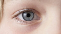 Bilde av øye