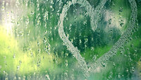 Bildet viser en vidusrute full av regndråper med et hjerte tegnet inn i dugget.