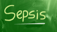 Bildet viser en grønn flate der det er skrevet ordet sepsis.