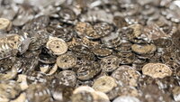 Bildet viser en haug med 1-kroner Bildet viser en haug med 1-kroner