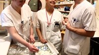 To kvinnlige og en mannlig sykepleier i hvite uniformer i medisinrom. Smiler og ser på små gjenstander i rommet.  