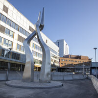 Universitetssykehuset i Nord-Norge