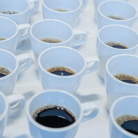 Bildet viser mange kopper med kaffe.