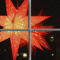 Bilde av julestjerne