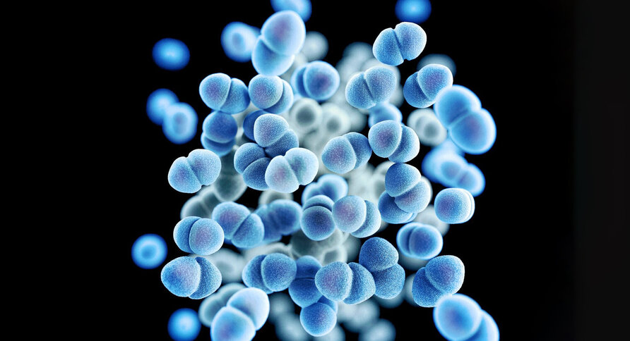 Bildet viser vankomycinresistente enterokokker (VRE)